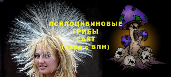 бутират Каменногорск