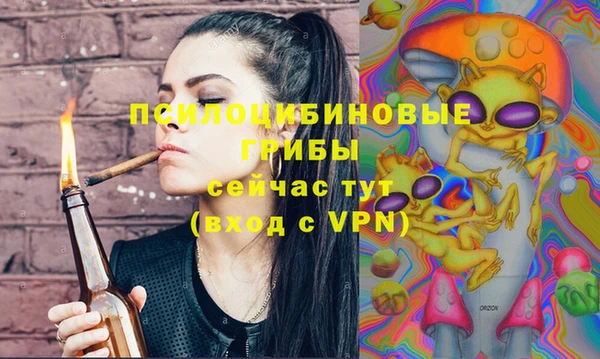 твердый Каменск-Шахтинский