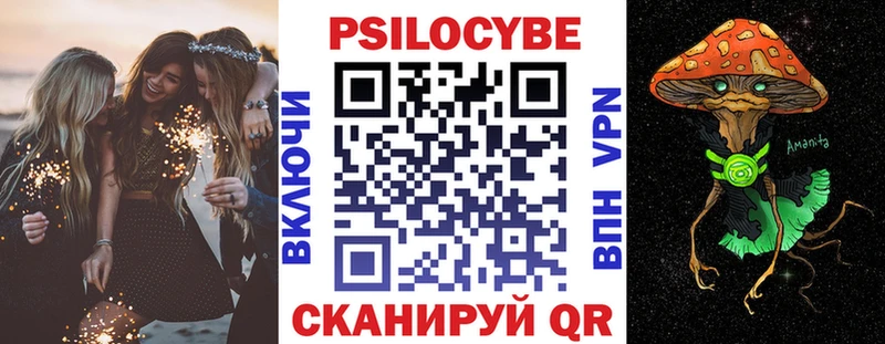 Купить где  Железноводск  Псилоцибиновые грибы Psilocybine cubensis 